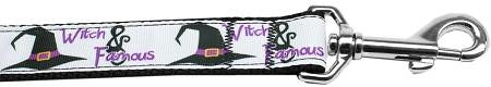 Witch and Famous Nylon Dog Leash 6 Foot