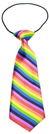 Big Dog Neck Tie Rainbow