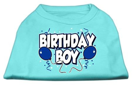 Birthday Boy Screen Print Shirts Aqua Lg (14)