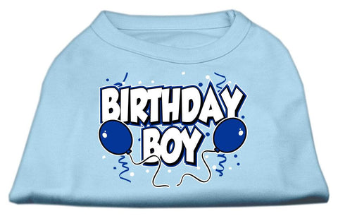 Birthday Boy Screen Print Shirts Baby Blue Lg (14)