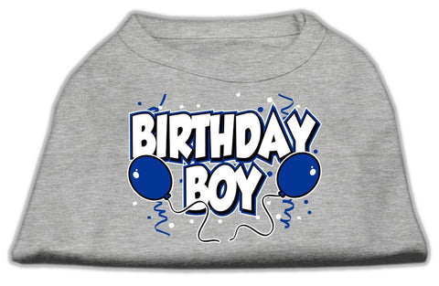 Birthday Boy Screen Print Shirts Grey XS (8)