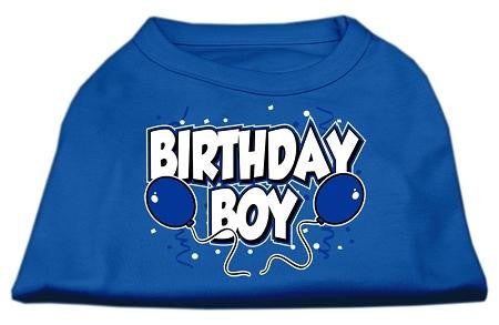 Birthday Boy Screen Print Shirts Blue XXXL (20)