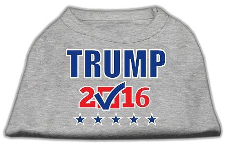 Trump Checkbox Election Screenprint Shirts Grey Sm (10)