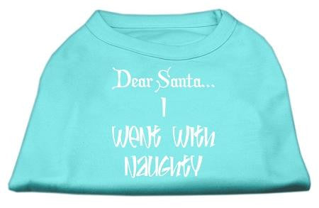 Dear Santa I Went with Naughty Screen Print Shirts Aqua Lg (14)