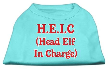 Head Elf In Charge Screen Print Shirt Aqua Sm (10)