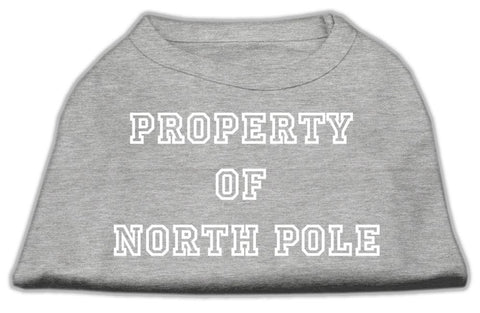 Property of North Pole Screen Print Shirts Grey XXXL (20)