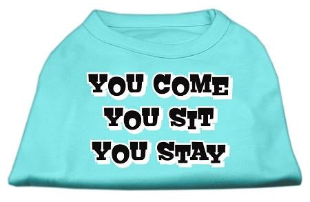 You Come, You Sit, You Stay Screen Print Shirts Aqua L (14)