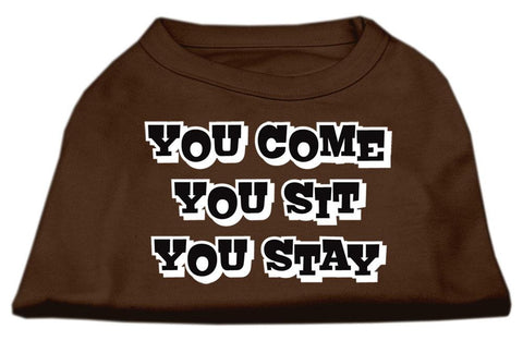 You Come, You Sit, You Stay Screen Print Shirts Brown Sm (10)