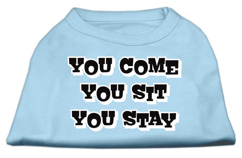 You Come, You Sit, You Stay Screen Print Shirts Baby Blue XL (16)