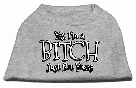 Yes Im a Bitch Just not Yours Screen Print Shirt Grey Sm (10)