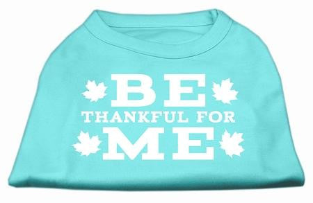 Be Thankful for Me Screen Print Shirt Aqua S (10)