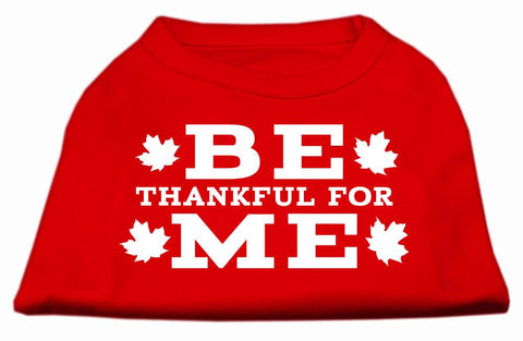 Be Thankful for Me Screen Print Shirt Red S (10)