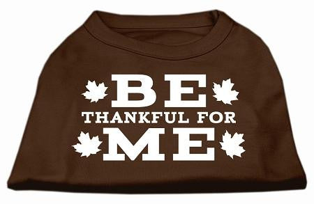 Be Thankful for Me Screen Print Shirt Brown XXXL (20)