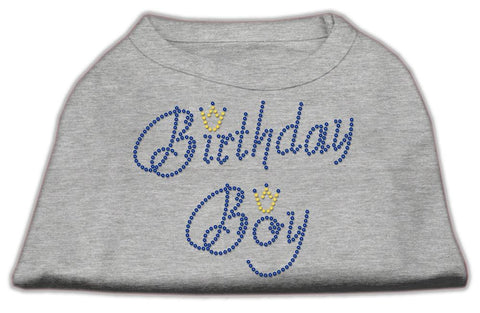 Birthday Boy Rhinestone Shirts Grey S (10)