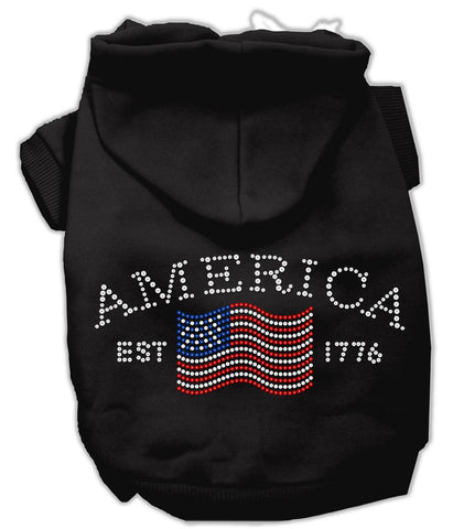 Classic American Hoodies Black L (14)