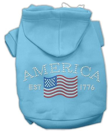 Classic American Hoodies Baby Blue XL (16)