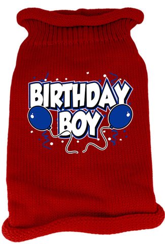 Birthday Boy Screen Print Knit Pet Sweater MD Red