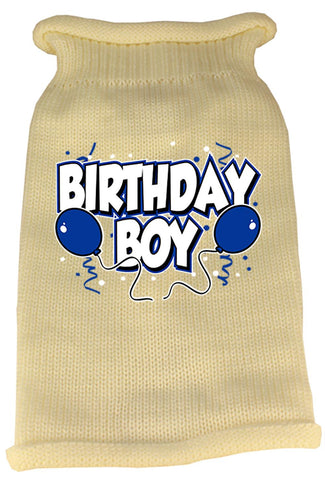 Birthday Boy Screen Print Knit Pet Sweater SM Cream