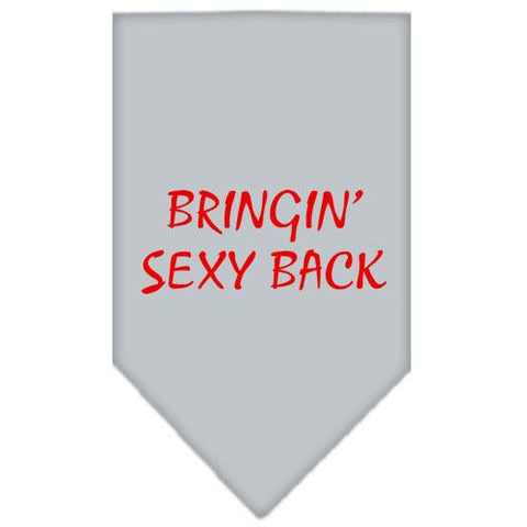 Bringin Sexy Back Screen Print Bandana Grey Small