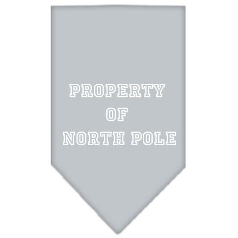 Property of North Pole Screen Print Bandana Grey Small