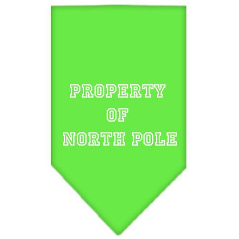 Property of North Pole Screen Print Bandana Lime Green Small