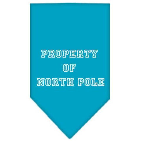 Property of North Pole Screen Print Bandana Turquoise Small