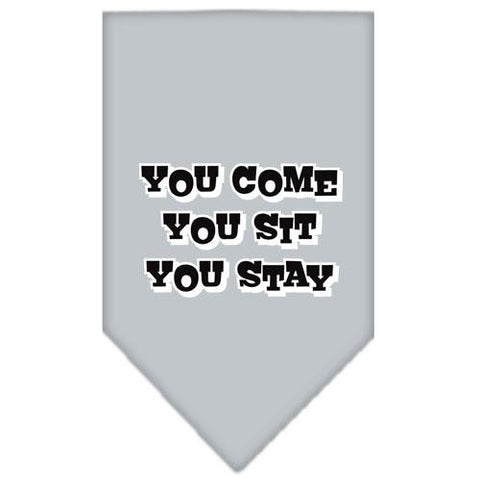 You Come, You Sit, You Stay Screen Print Bandana Grey Small