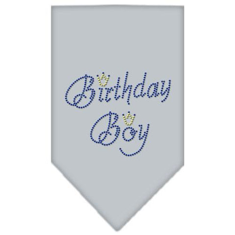 Birthday Boy Rhinestone Bandana Grey Small